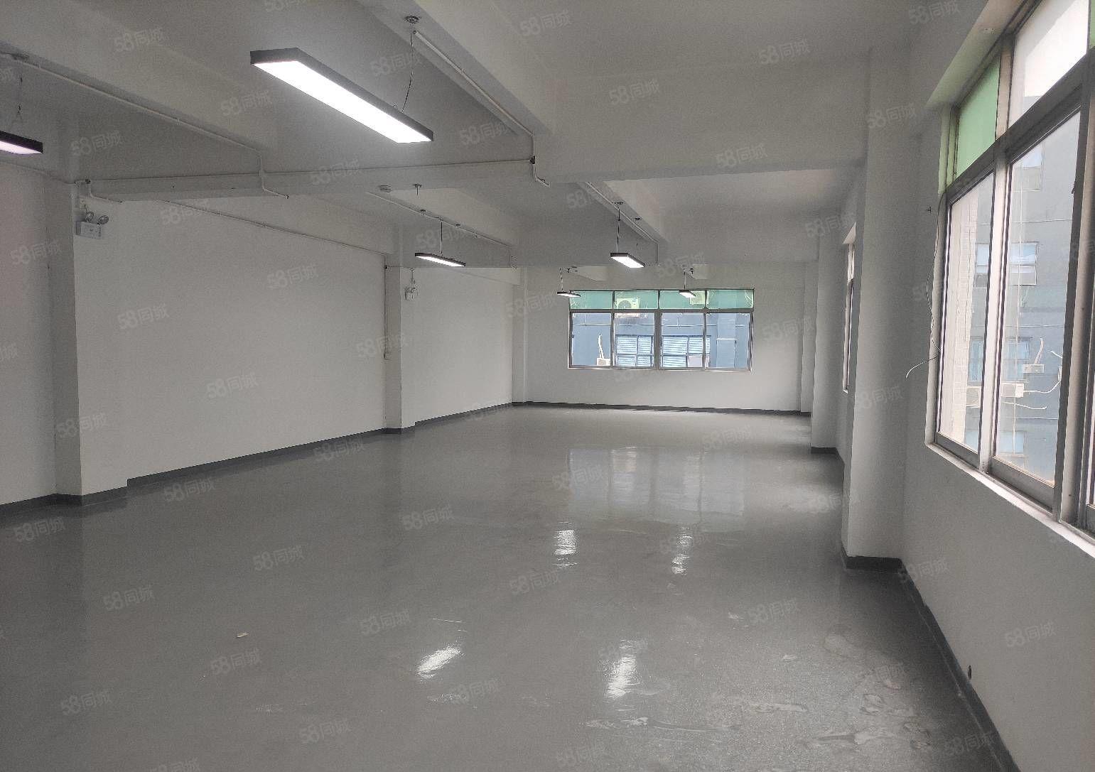 龙华油松双面采光精装厂房300平米出租