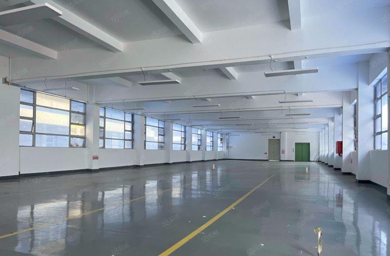 大浪新出原房东现成装修单层1000平办公仓库厂房低价出租