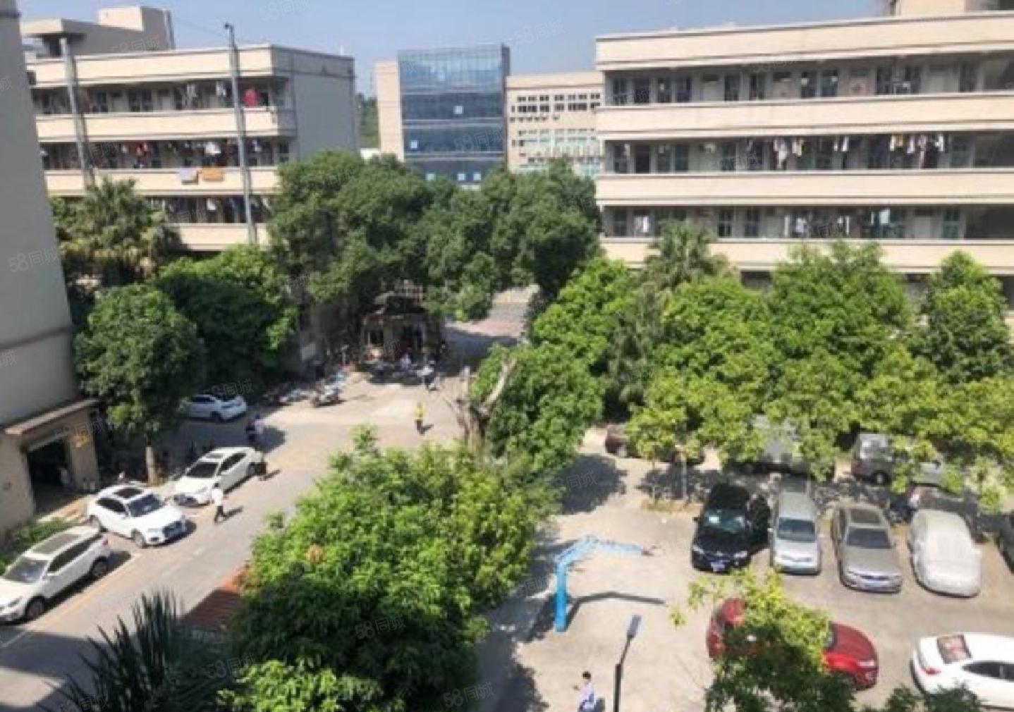 龙华大浪精装修厂房出租1650平可分租工业园一楼仓库出租空地