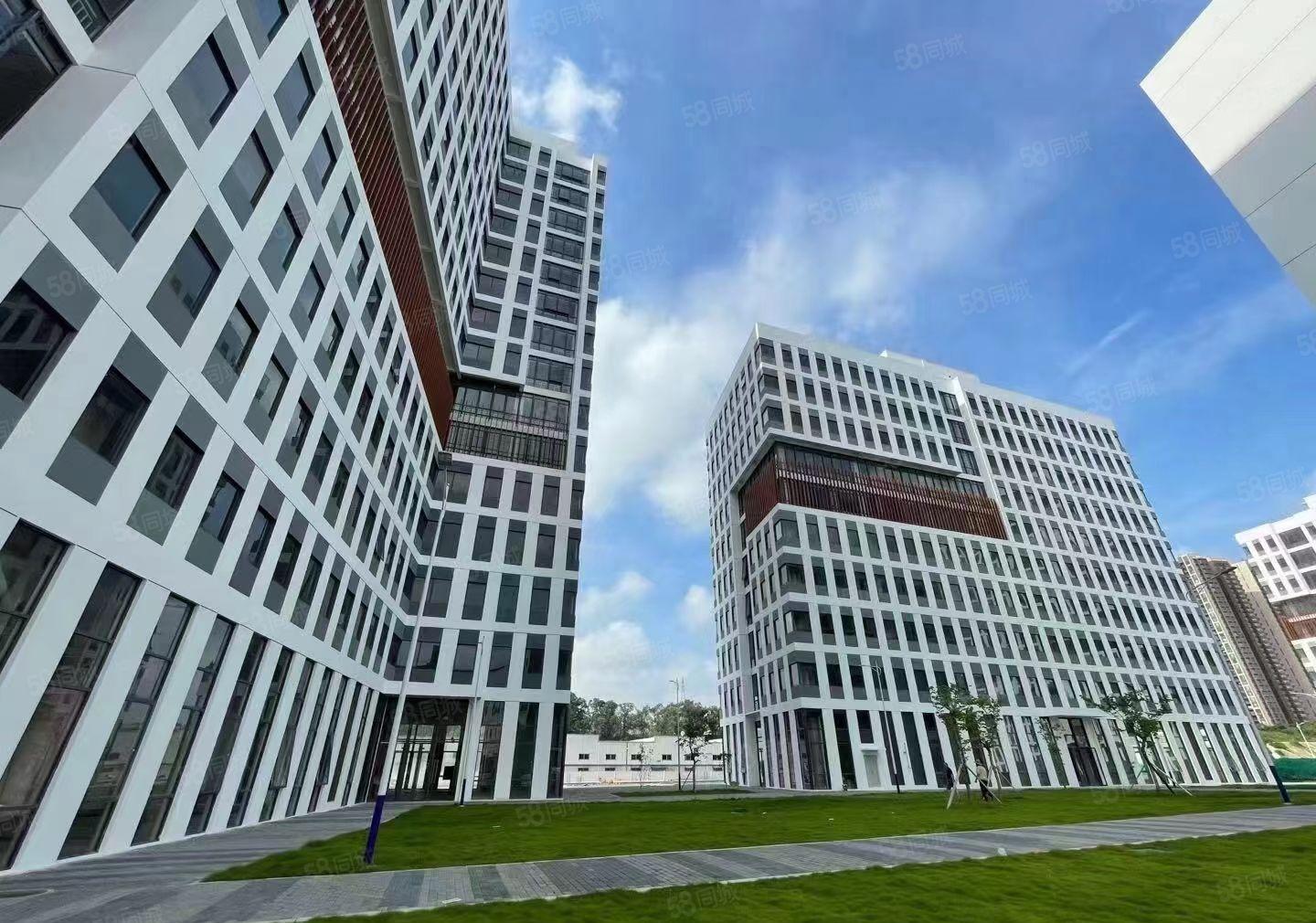 观澜全新高端数字创新园大小面积招租