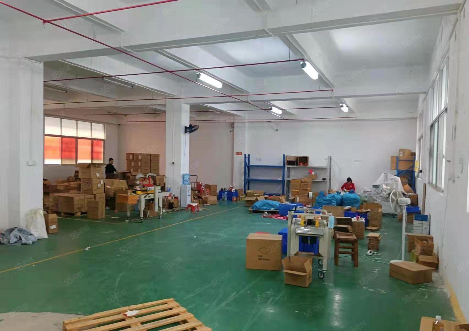 龙华天虹附近一楼475平标准厂房出租