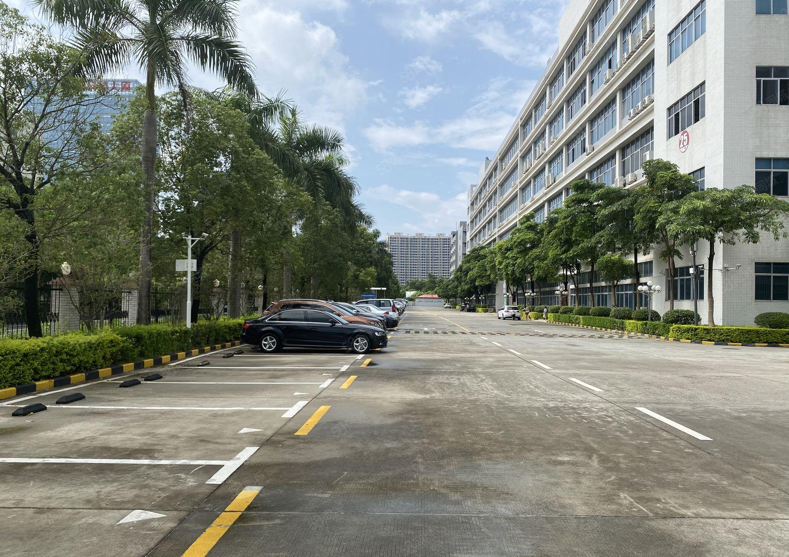 龙华清湖原房东实际面积出租12000平厂房出租可以分租精装修