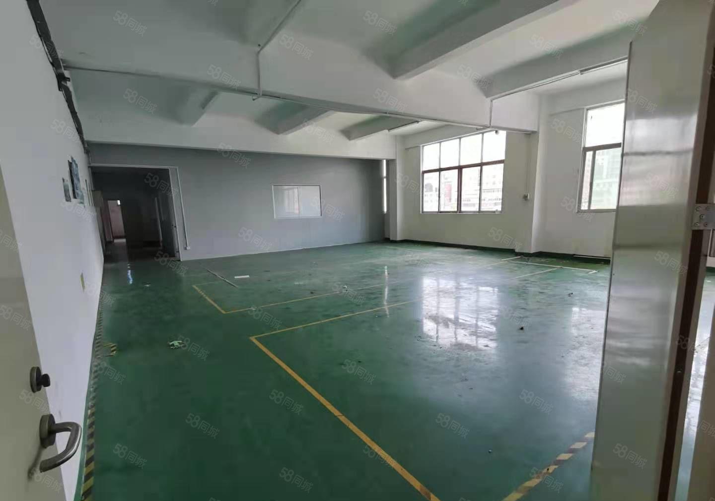 大浪河背工业园，厂房680平，租金便宜，行业不限，停车方便