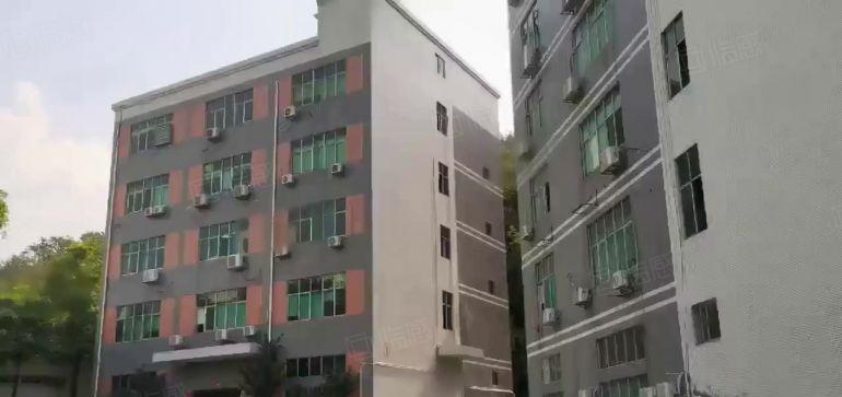 低价出租观澜电商园1600平整层带装修大小分一楼厂房仓库出租