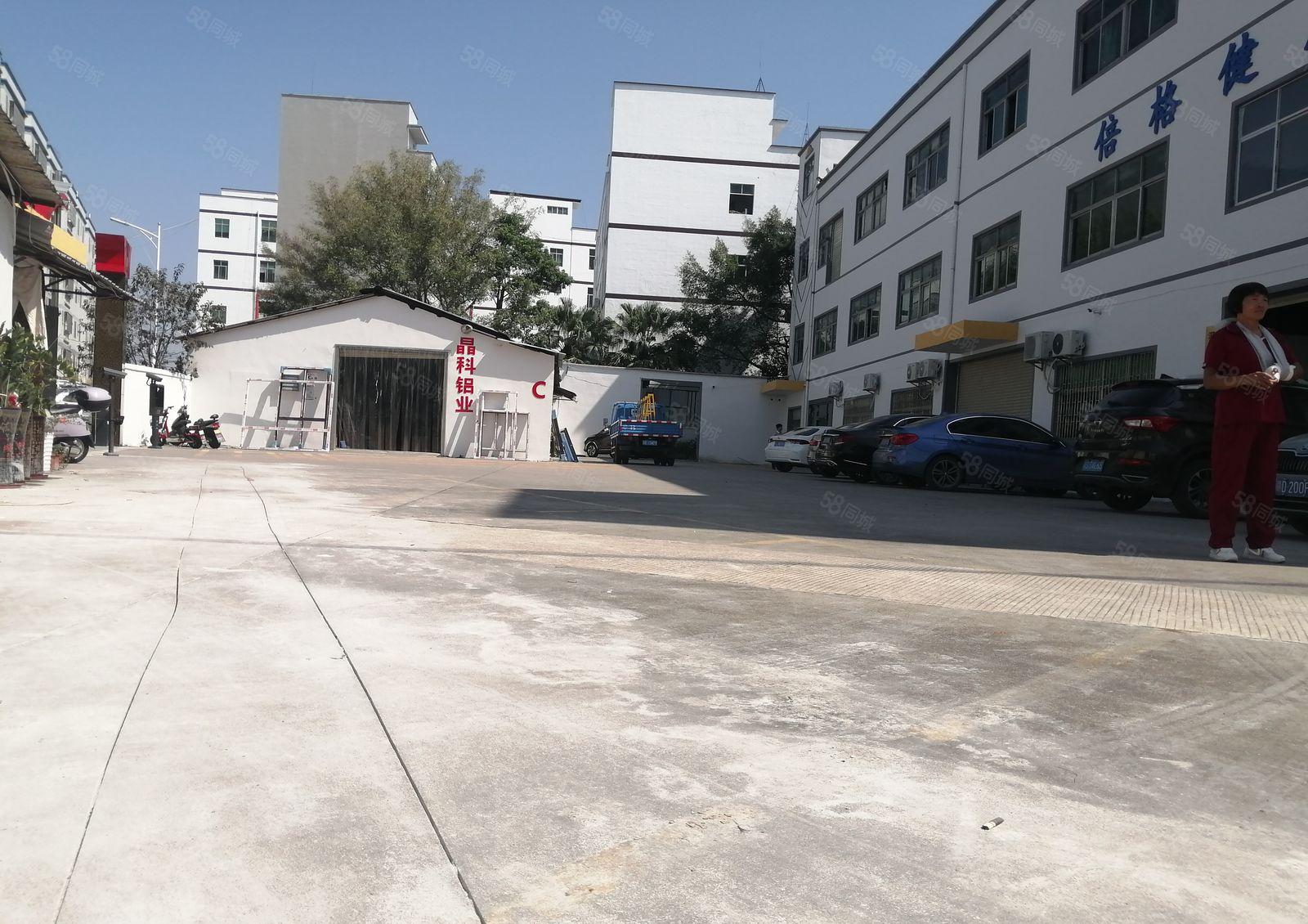 1500平观澜桂花路主干道旁豪华装修大气前台四间办公室