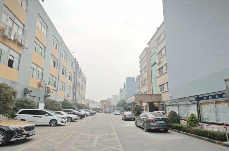 观澜原房东精装修1000平厂房出租一楼仓库200平起可分租