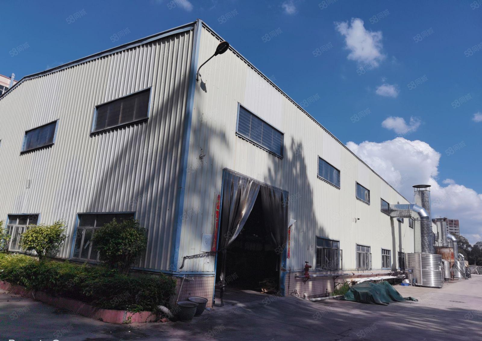 观澜主干道边新出单一层滴水8米钢构6000平米带隔热层