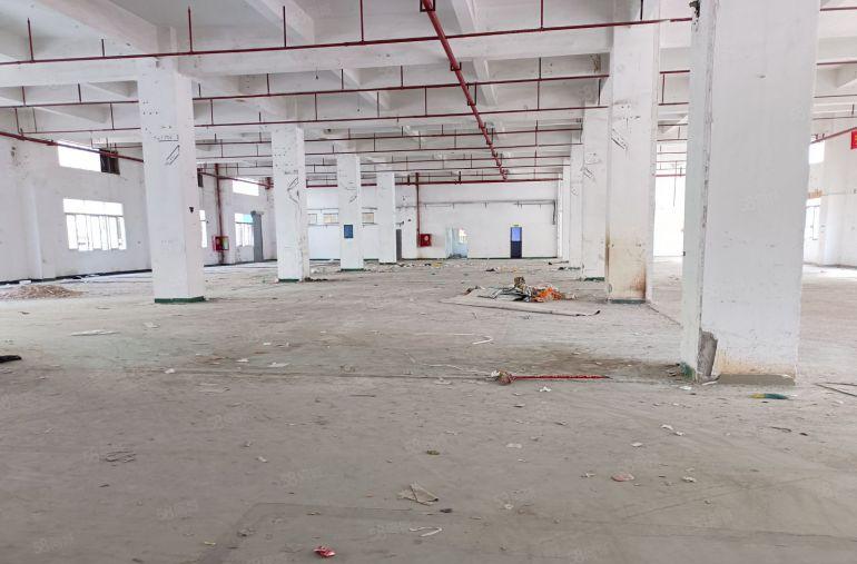 500平起租龙华地铁口附近独院厂房6000平实际面积过环评