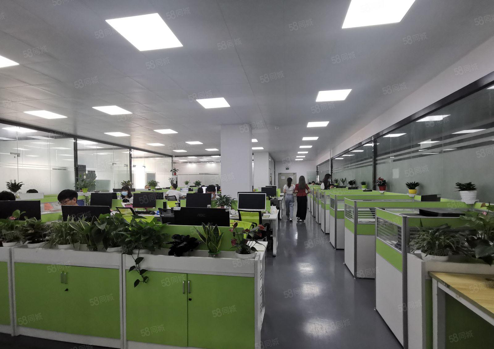 龙华大浪商业中心精装修厂房出租2000平，生产办公一体化格局