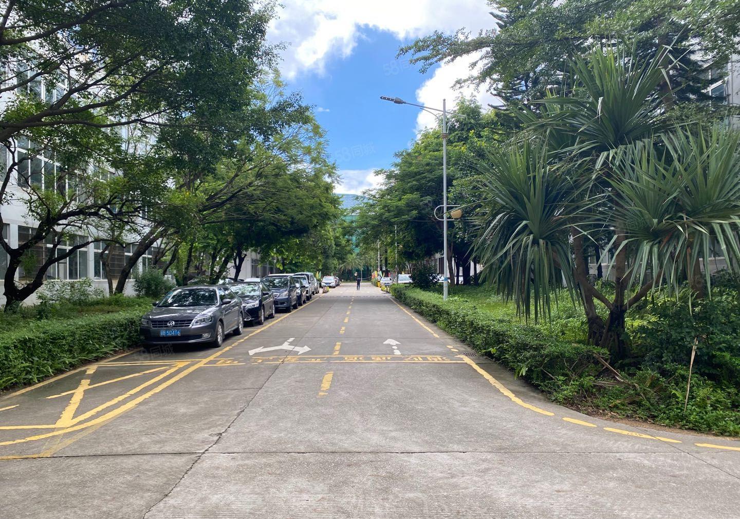 龙华大浪工业园2万平厂房出租500平起分租服装有补贴原房.