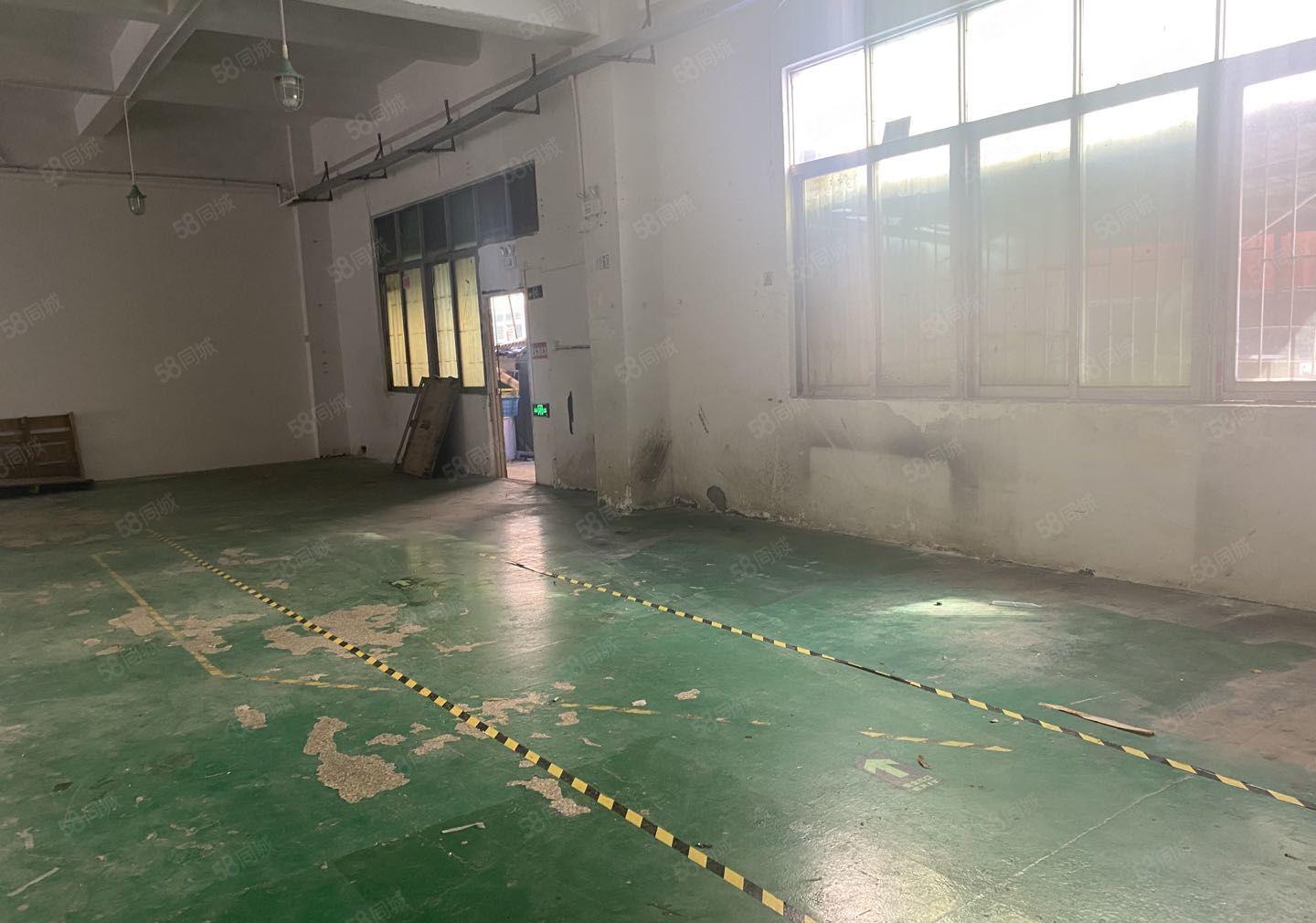 龙华新出一楼1308平，租金26，带实际200平冻库