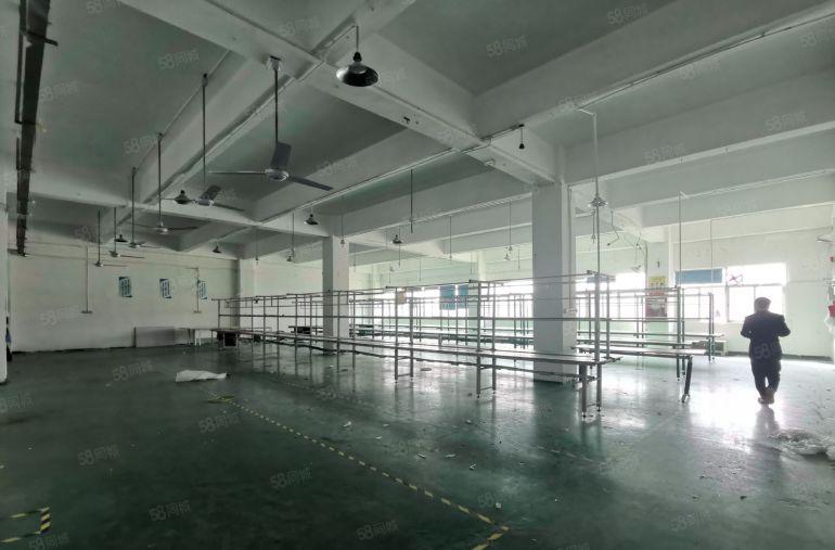 龙华大浪上横朗工业园1000平精装修办公室仓库厂房出租可分租