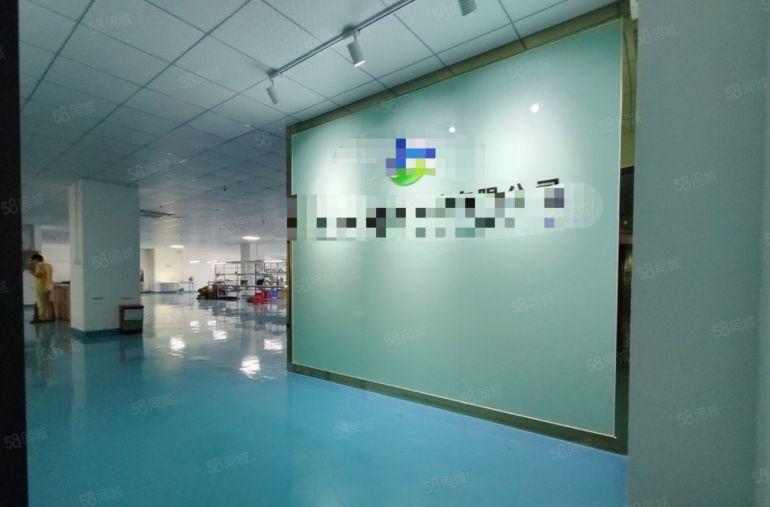 龙华民治地铁口精装500平至2000厂房研发办公电商仓库出租