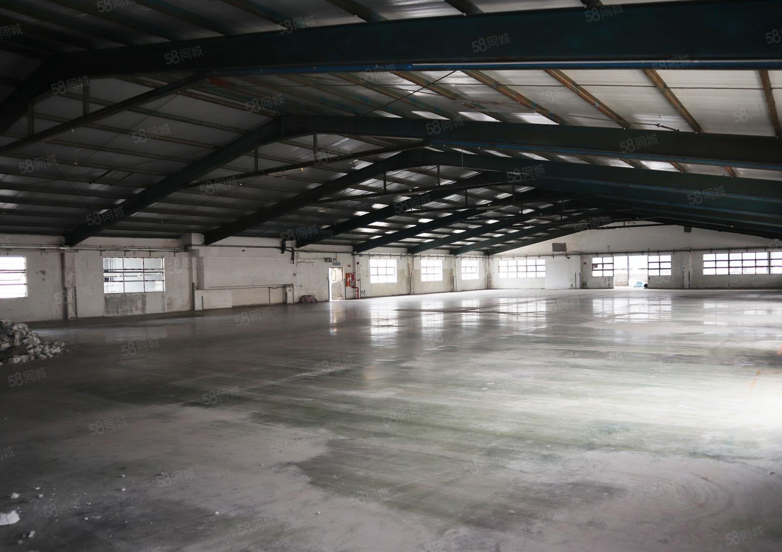深圳观澜1000平米楼顶钢结构厂房直租，带电梯便宜出租