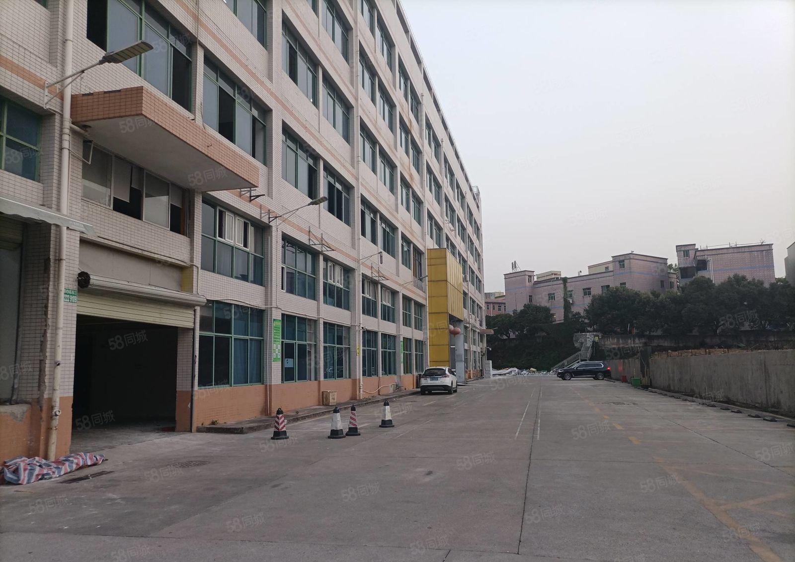 龙华新出一二楼1000平至5000平厂房仓库出租独院大小分租