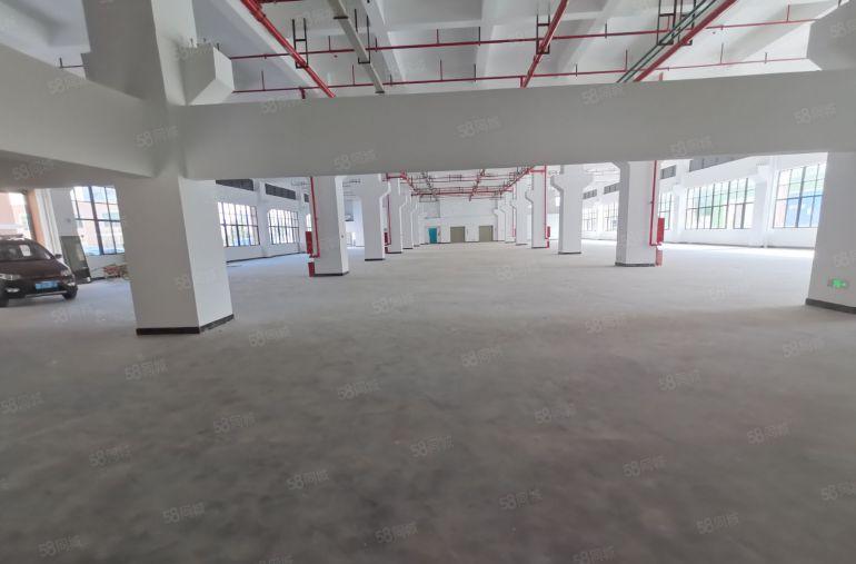 深圳龙华厂房大浪出租办公仓库2000平超大空地整租分租工业园