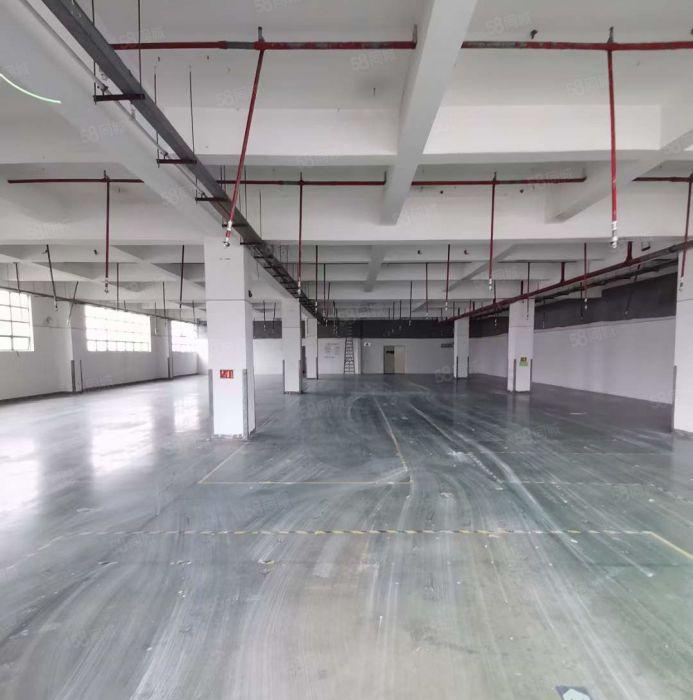 观澜章阁1000平方厂房业主直租，首月租金立减百分之10