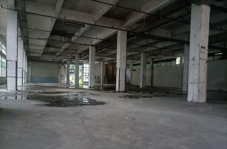 龙华独门独院3650平 前后超大空地 上下两层