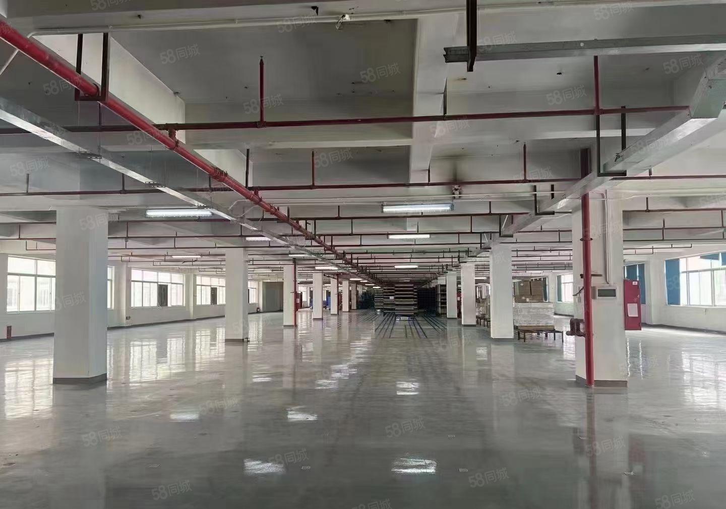 观澜梅观高速原房东独院6000平红本厂房仓库出租形象好可分租