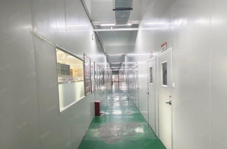 龙华大浪新出单层万级无尘车间4000平厂房出租大小可分租装修