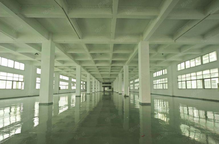 龙华原房东200平方至1000平方可分租 精装修厂房仓库出租