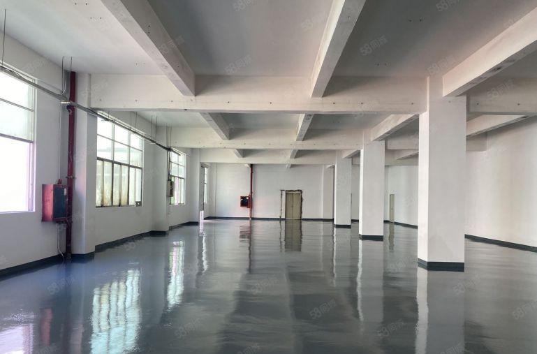 租金23元全包。龙华大浪商业中心，标准厂房仓库650平出租