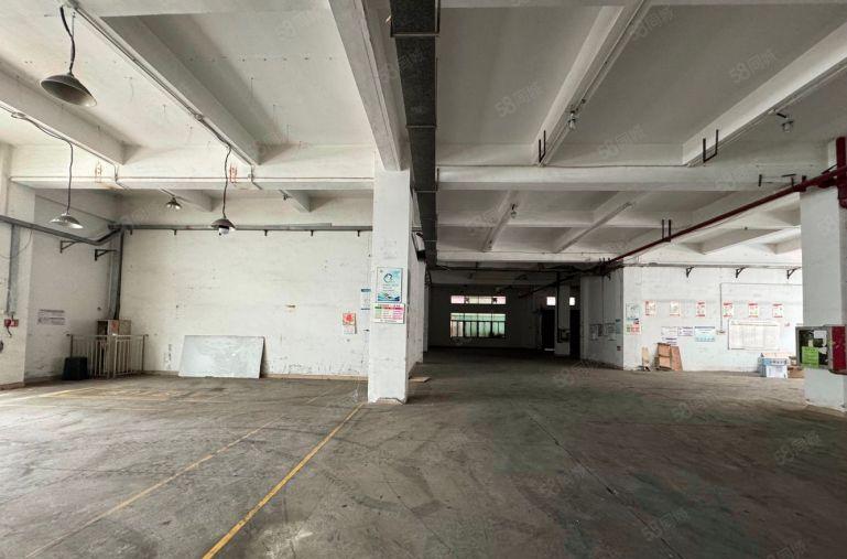 观澜高新区200平起分厂房出租 原房东厂房一楼1000平