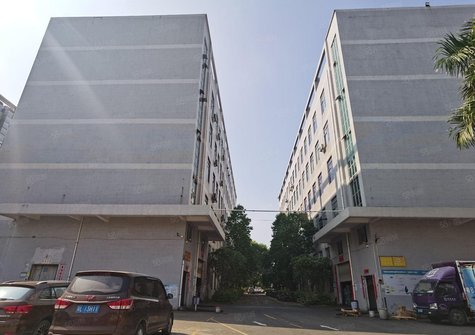 观澜新田工业区即将空出独栋标准厂房6000平方出租可分租