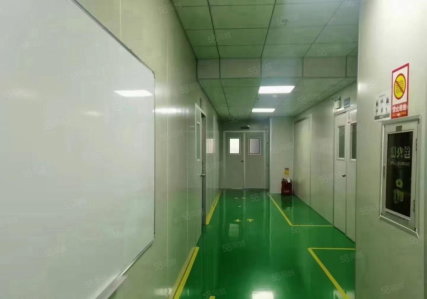 龙华大浪华荣路科技园二楼600平无尘车间厂房，原房东，精装修
