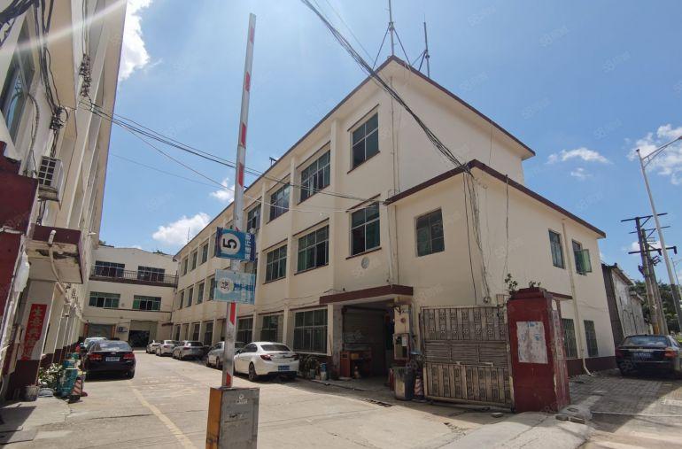 观澜地铁口50米开发商230平一楼标准厂房低价出租