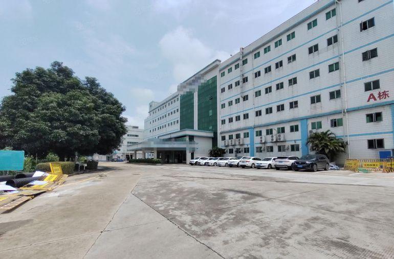 观澜桂花原房东一楼1100平精装修厂房仓库出租大小可分租