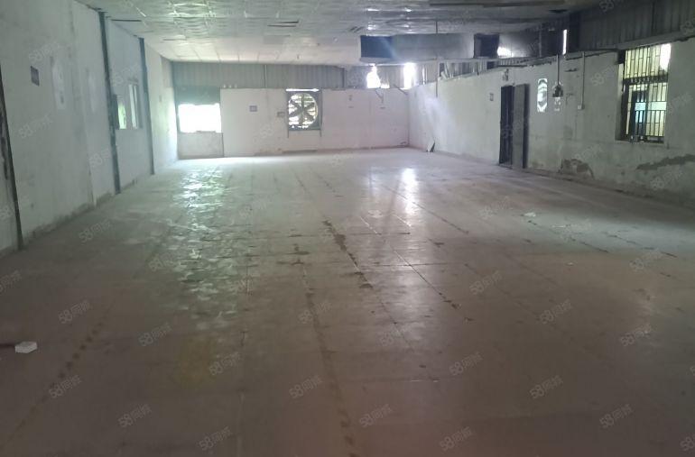 龙华大浪原房东钢钩厂房3800平出租，可分租200平，无公摊