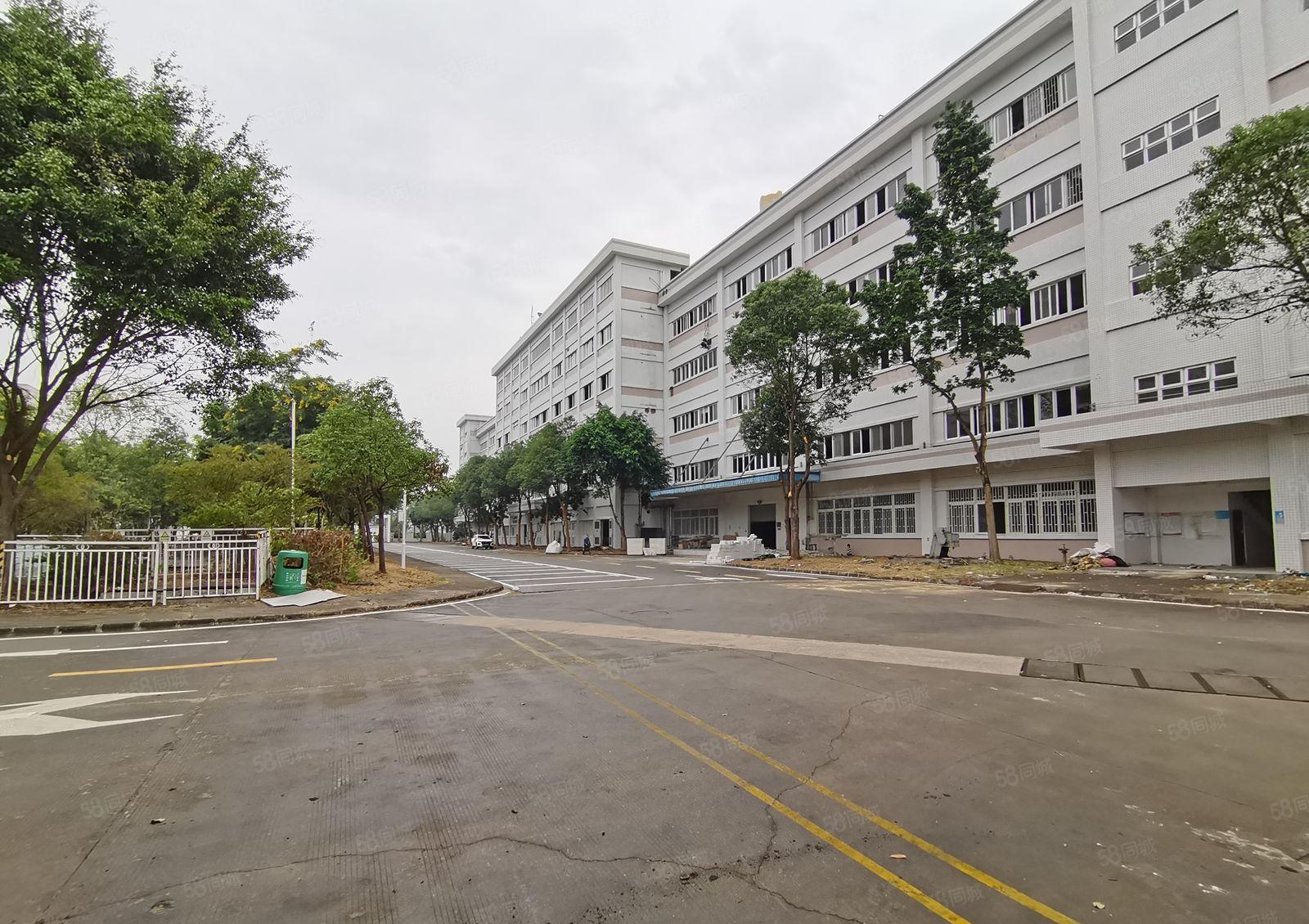 500平起租！龙华观澜独门独院厂房仓库1600平出租！