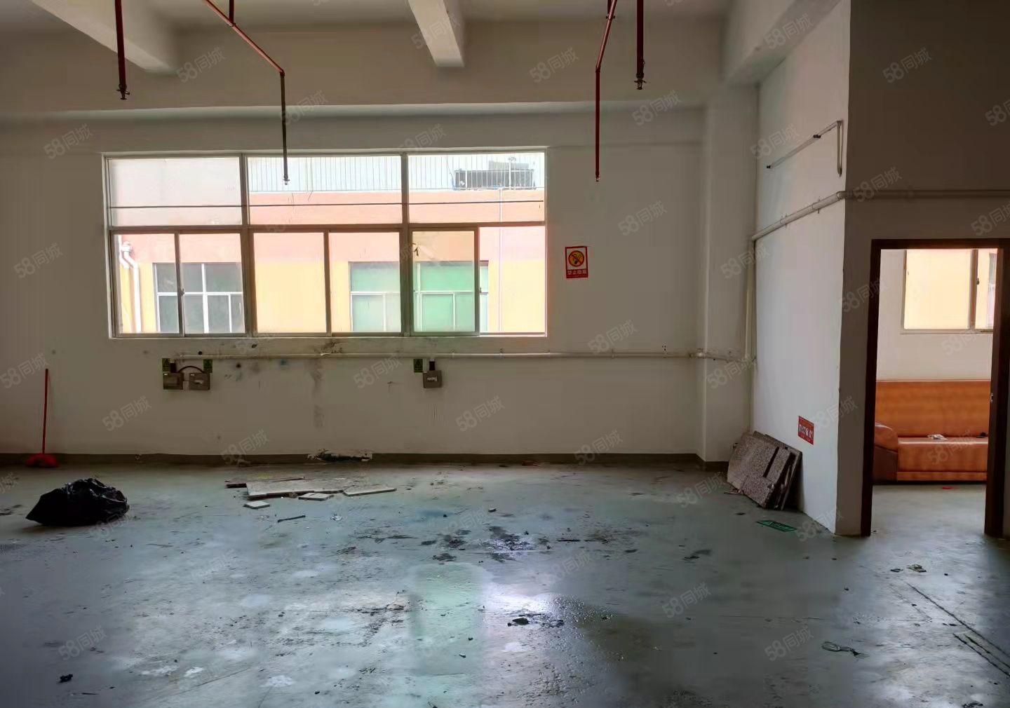 龙华大浪龙澜大道附近新出350精装厂房出租