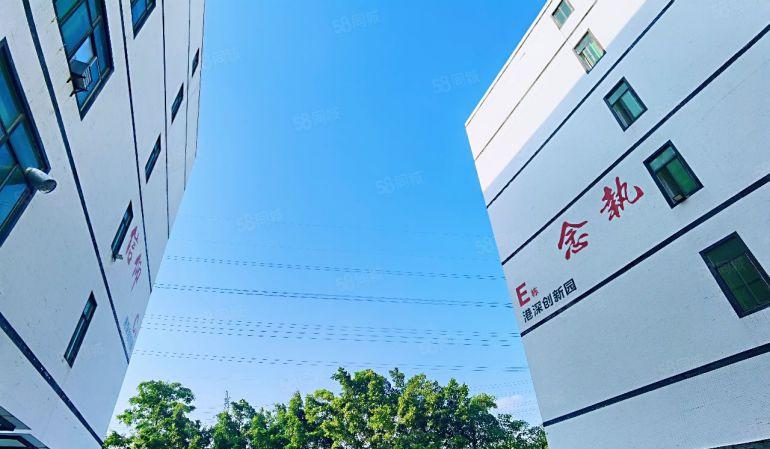 原房东精装修办公室出租，全景落地窗，位置安静