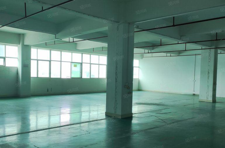 龙华大浪700平方厂房业主直租，首月租金减百分之10