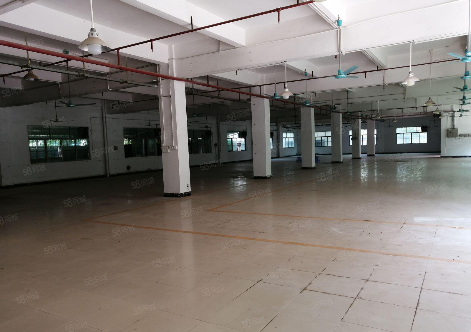 原房东！观澜原房东1.2万独院，可分租，独栋厂房仓库低价出租