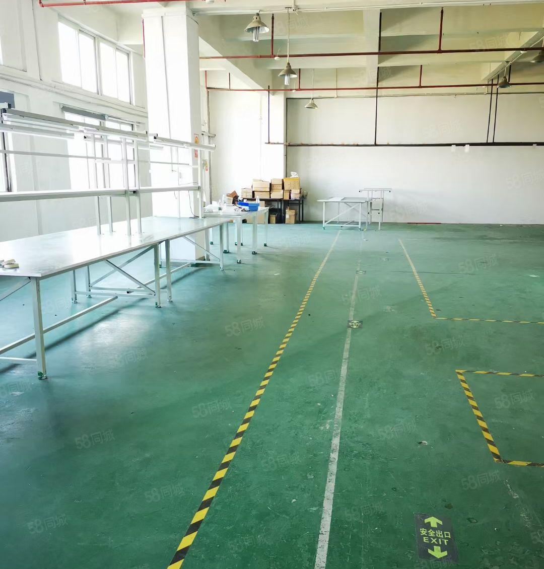 深圳观澜大富工业区新出独门独院6000平方红本厂房出租