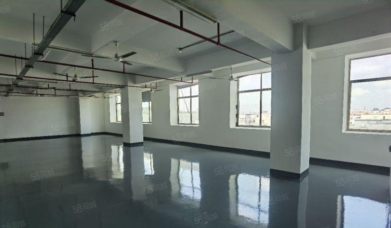 大浪南路边新出430平带装修厂房现成的装修立马入驻