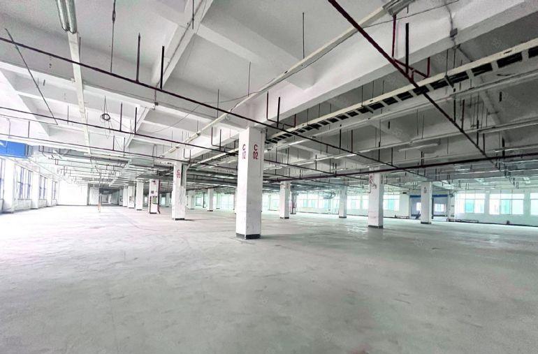 1000平起独门独院原房东工业红本厂房实际面积出租周边配套齐