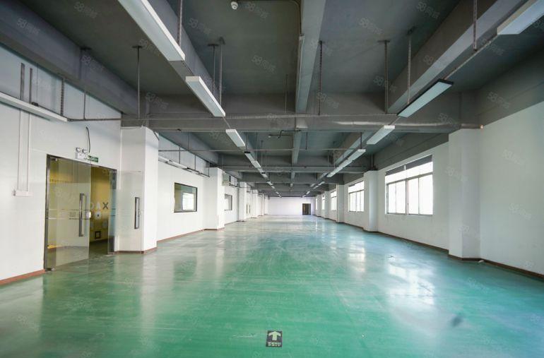 龙华清湖高速口700平米精装修厂房业主直租，可做办公小加工