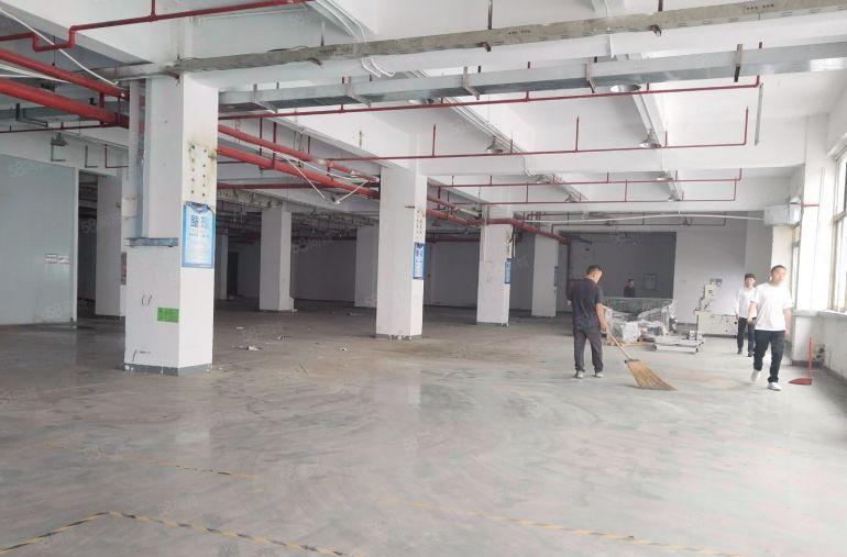 观澜桂花独院厂房出租5000平米可分租厂房300平米起