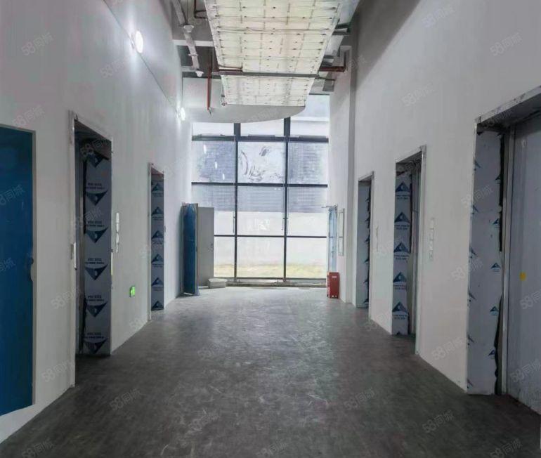 观澜高标全新生产研发一体化厂房500平方起分