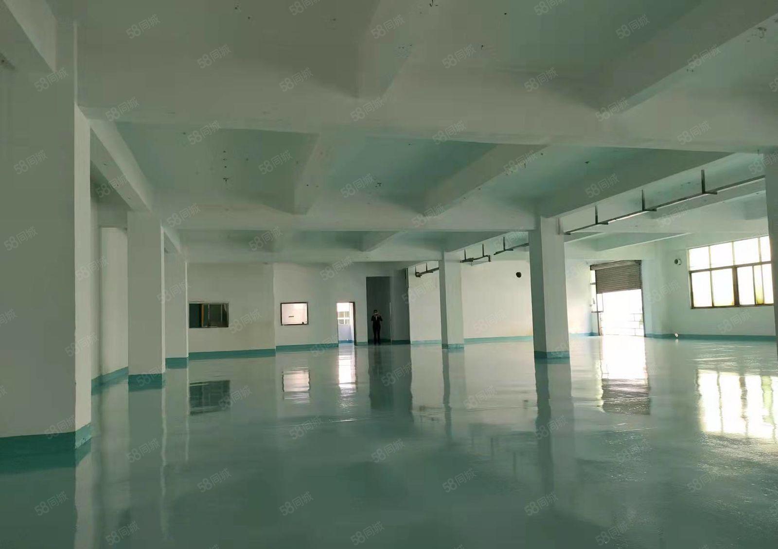 龙华大浪浪口新出楼上1200平厂房出租