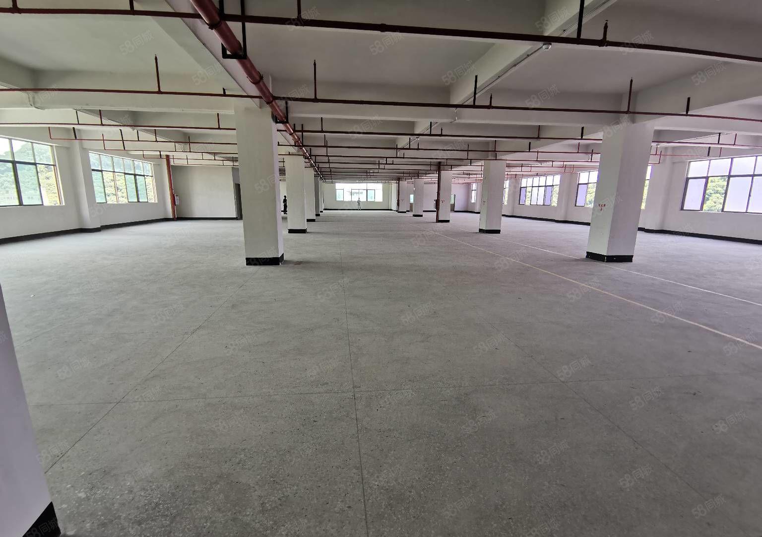 28元起龙华大浪原房东厂房仓库5000平500平起租，地铁旁