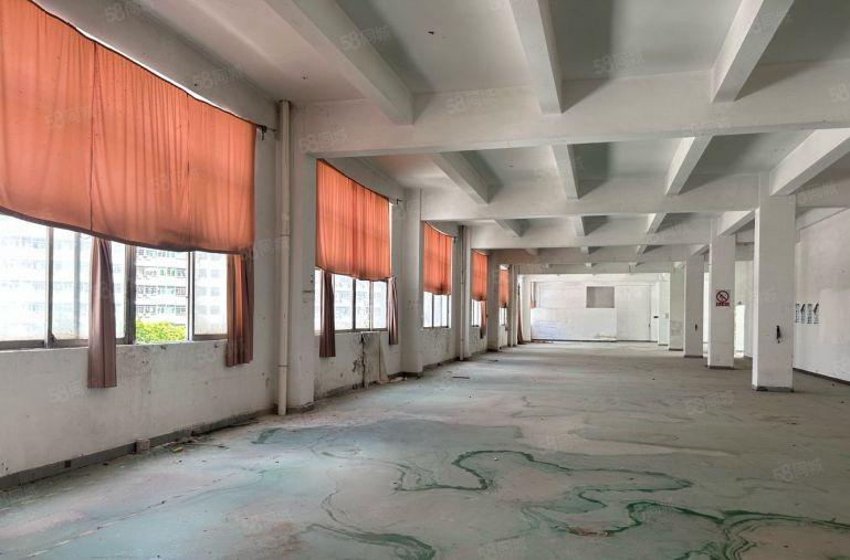 医疗相关行业有专项补贴龙华中心独院7800平厂房出租