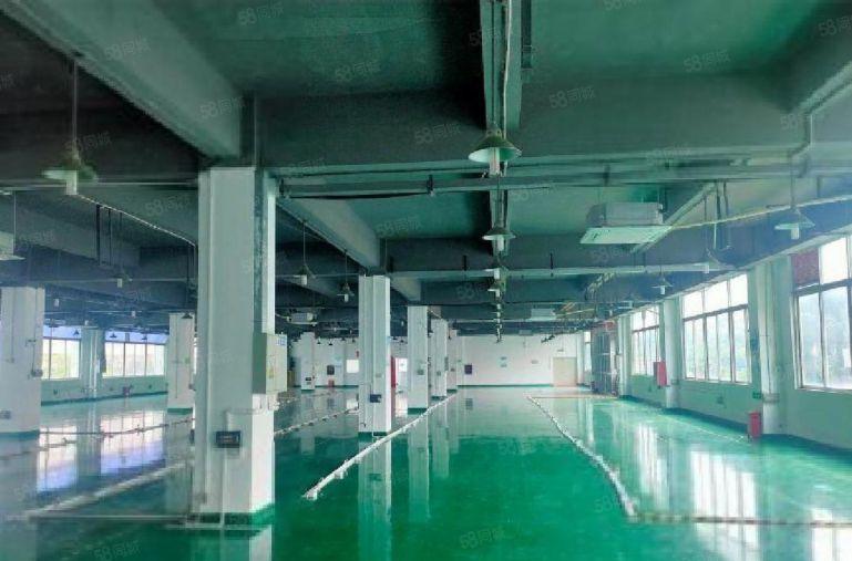 观澜原房东独院厂房出租带装修8000平可分租工业园仓库