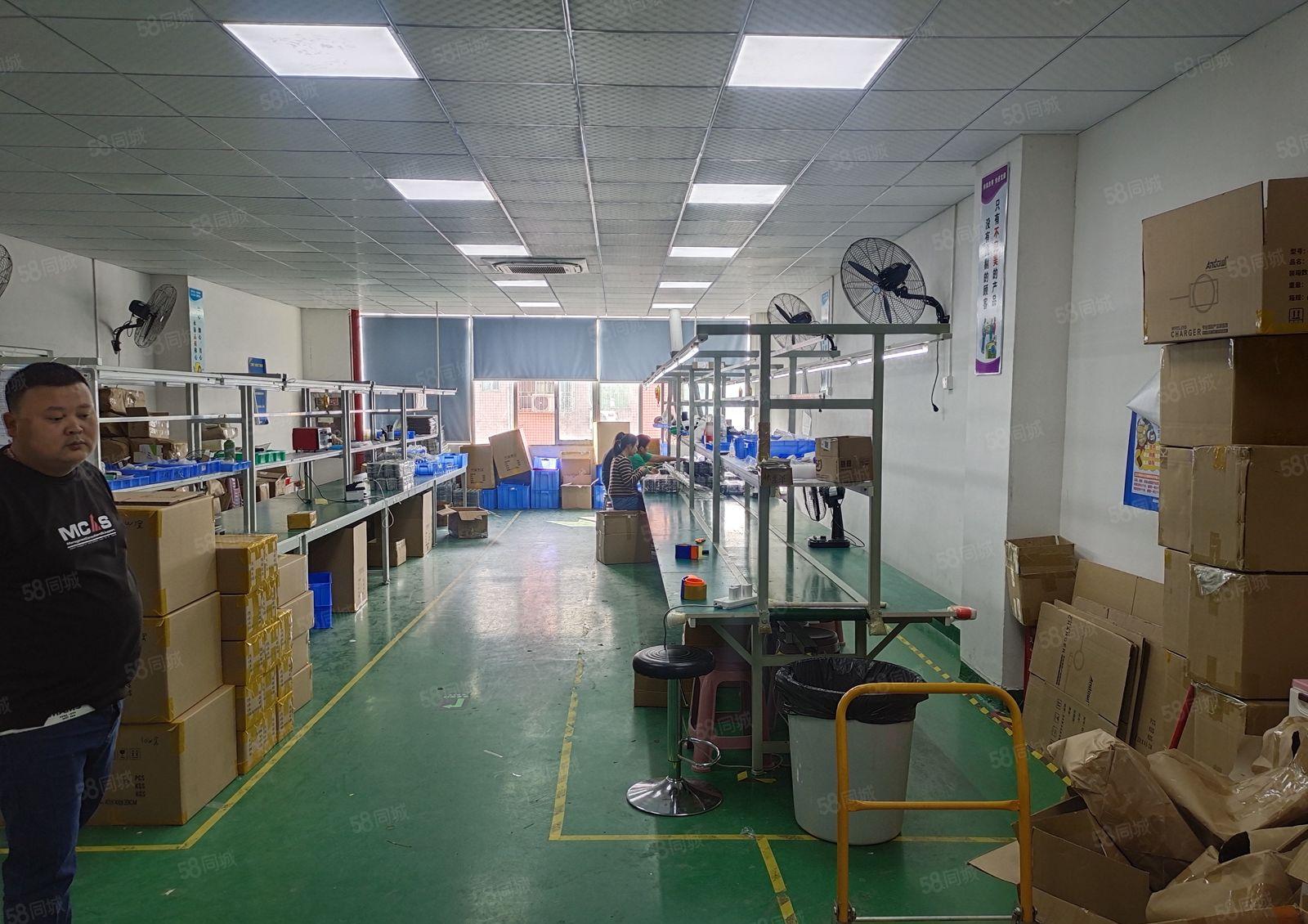 大浪康发科技园，精装修厂房400平（有图）30元每平出租