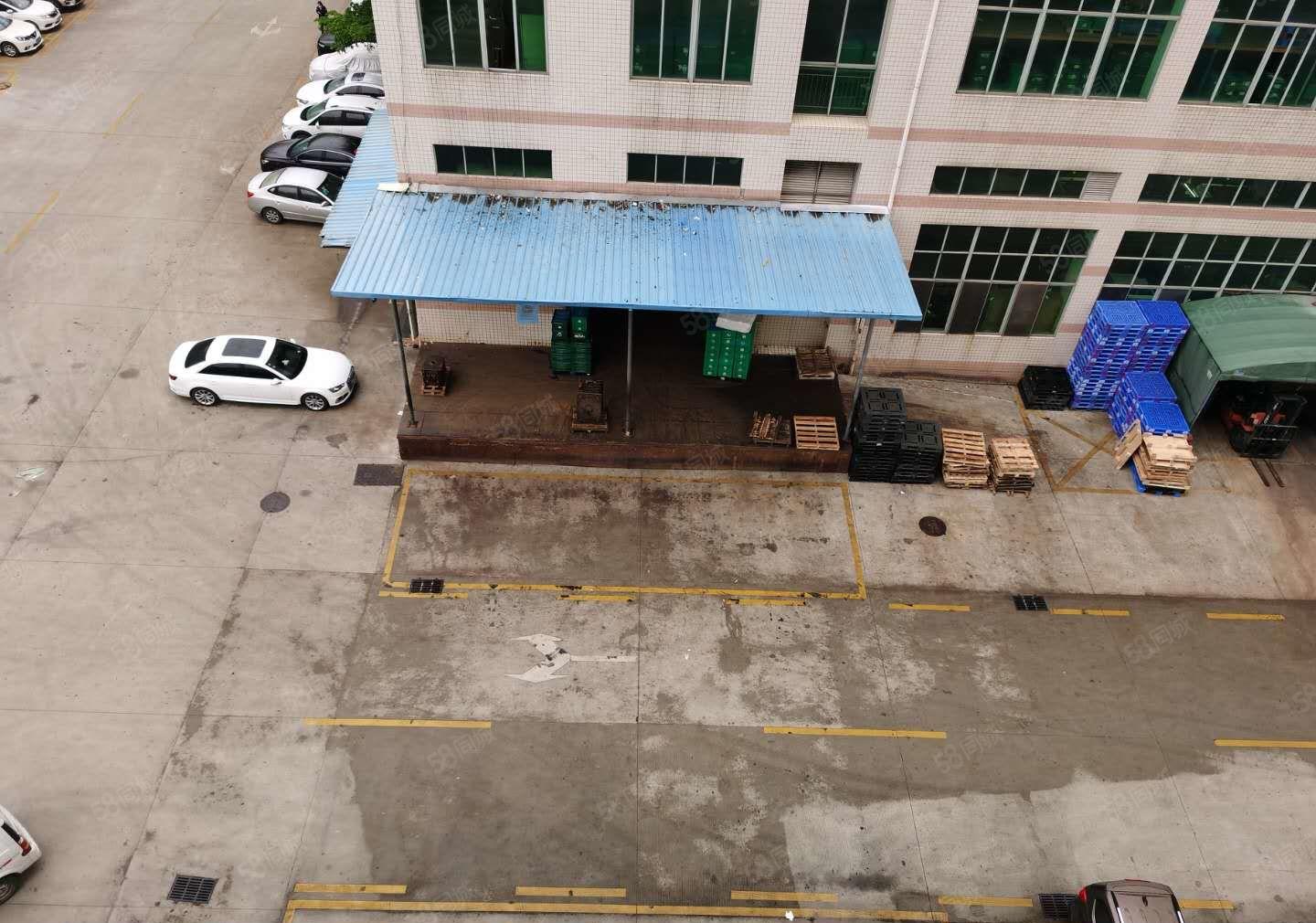 观澜中泰科技园区厂房6000平分租500平起23元起使用率高