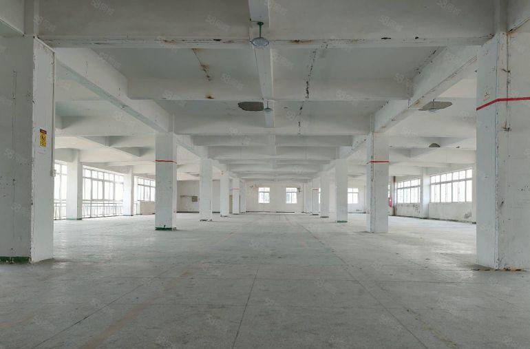 龙华大浪红本厂房出租整层1915平可分租 低价仓库出租